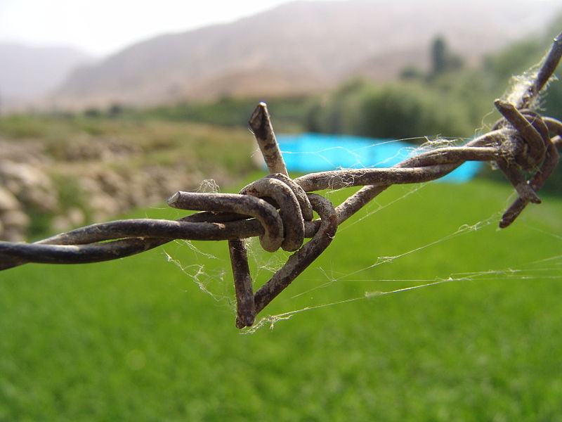 Barbed Wire Fencing