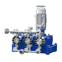 Integral Process Diaphragm Pumps