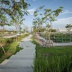 Design of Landscape - Agriculture Works